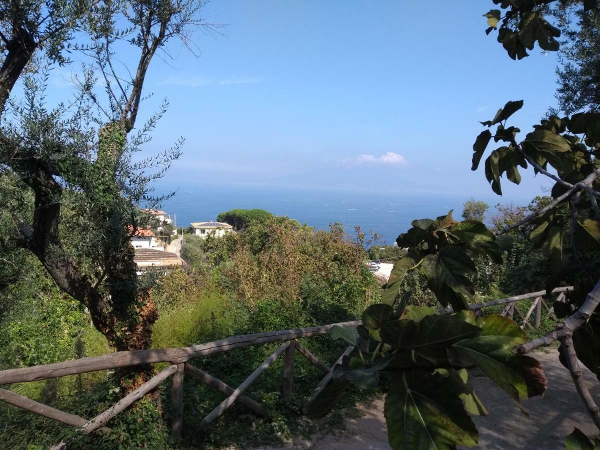 Anna Belle Elegant Agriresort Sorrento Ngoại thất bức ảnh