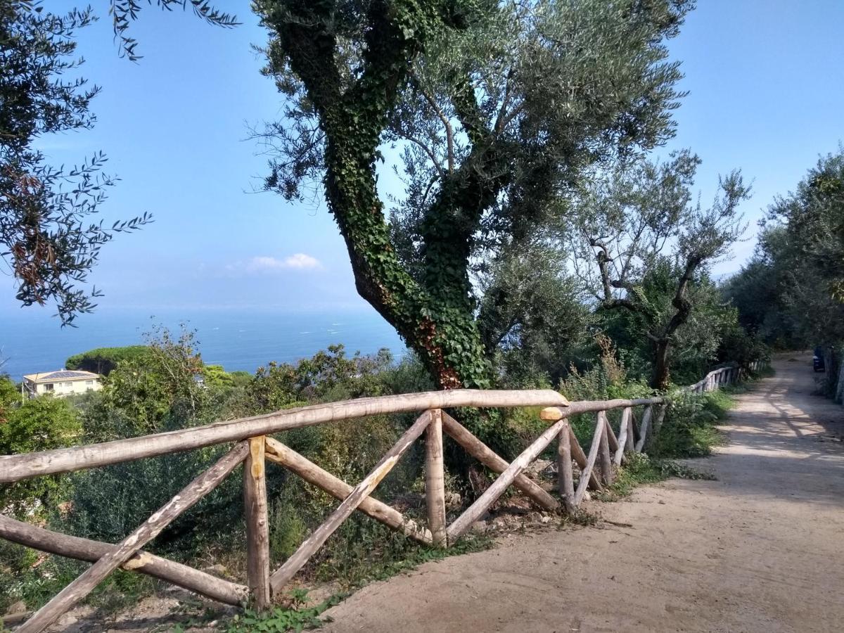 Anna Belle Elegant Agriresort Sorrento Ngoại thất bức ảnh